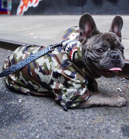 Dog Waterproof Jacket for Pets