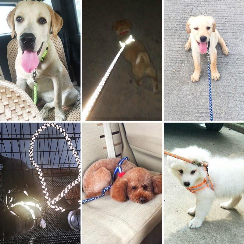 Dog Leash for Pets