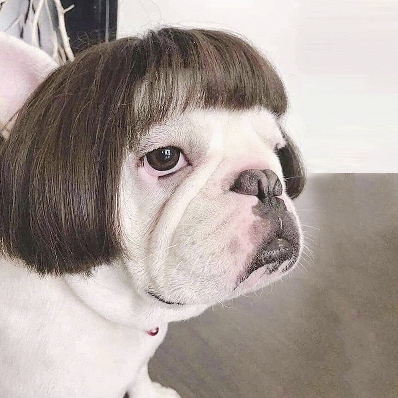 High-Temperature Silk Wig for Cats