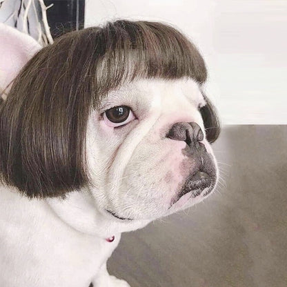 High-Temperature Silk Wig for Cats
