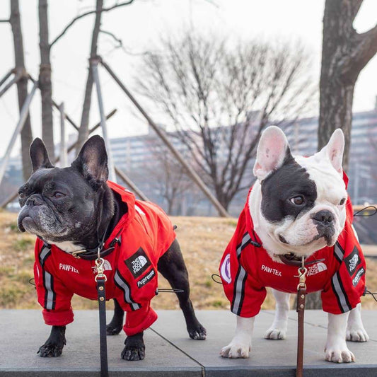 Dog Waterproof Jacket for Pets