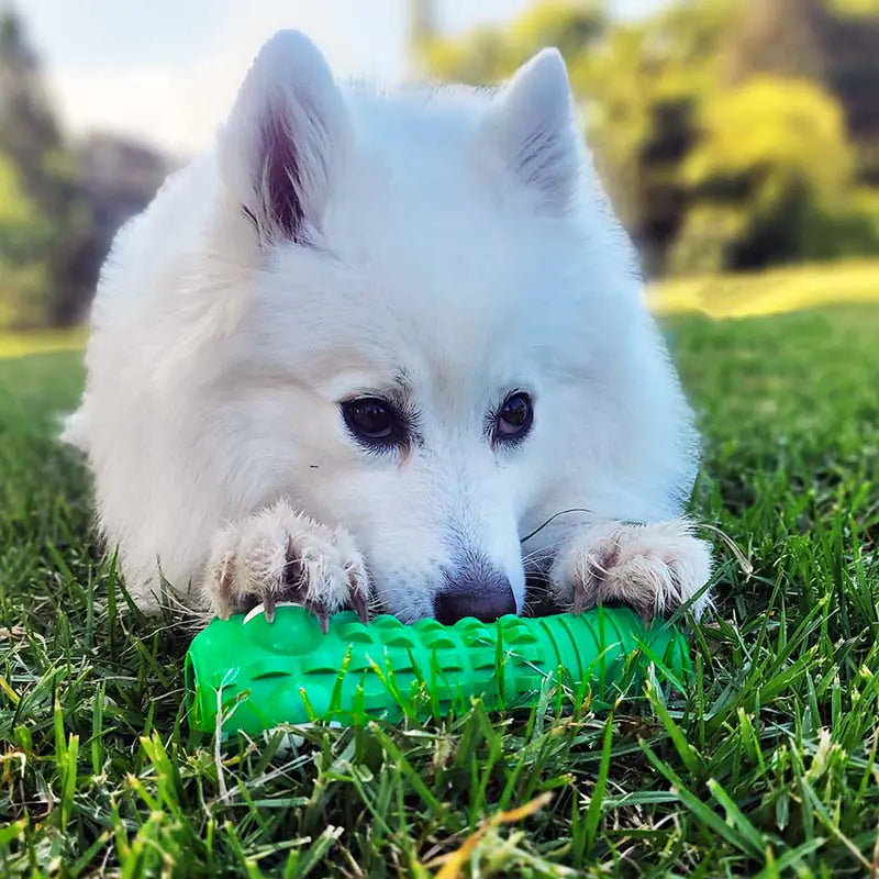Croc Dental Chew Toy for Dogs – Durable Teeth Cleaning Chew