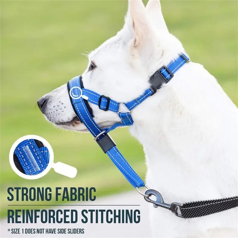 Dog Head Halter Training Collar – No-Pull Muzzle for Dogs S/M/L/XL