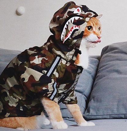 Dog Waterproof Jacket for Pets
