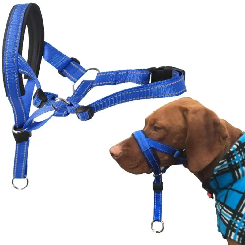 Dog Head Halter Training Collar – No-Pull Muzzle for Dogs S/M/L/XL